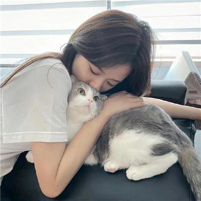 北极光下 海报