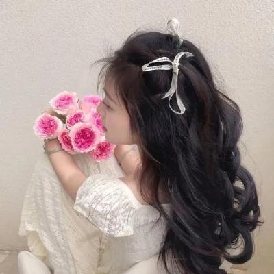 花盆 海报